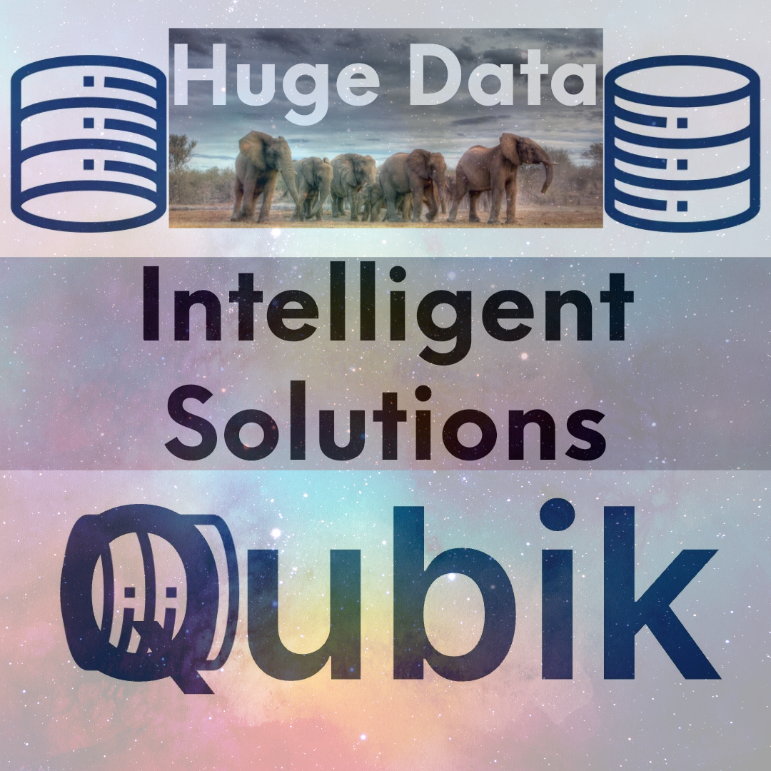 Qubik – Huge Data, Intelligent Solutions